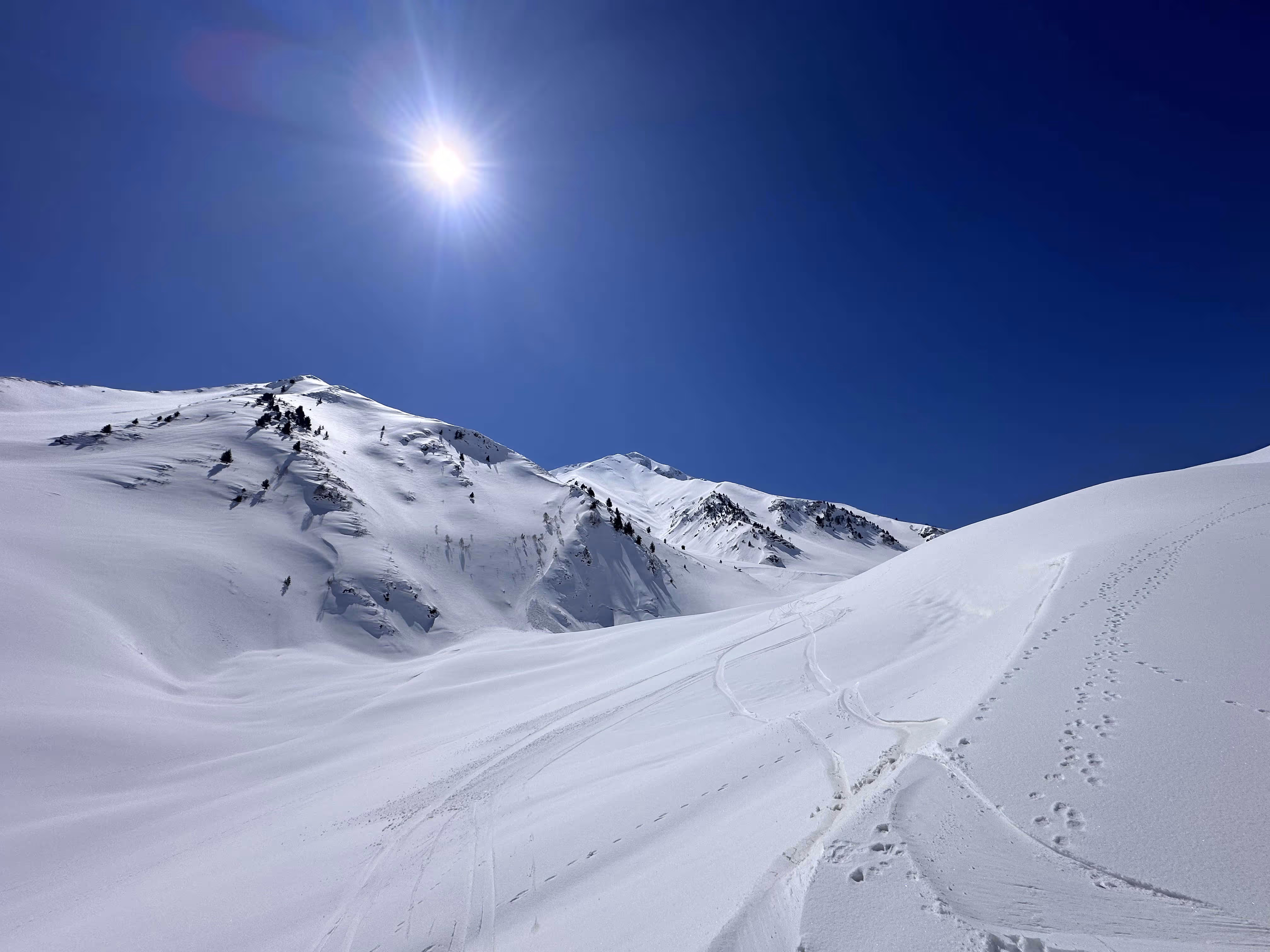 About Gulmarg Adventure Academy